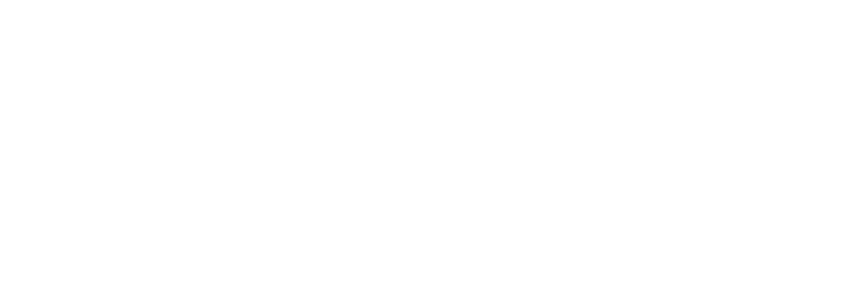 Motorstop Jan Althoetmar