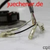 Lichtmaschine Stator Ankerplatte Rivero 50ccm Minarelli Basis