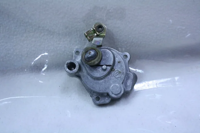 NEU 2388756 OELDECKEL