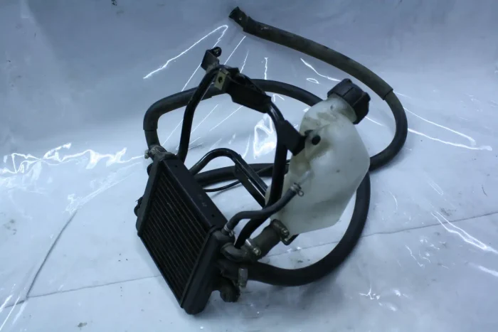 m290-rs-wasserkuehler-kuehler-radiator-gebraucht-2 Aprilia RS Wasserkühler Kühler radiator